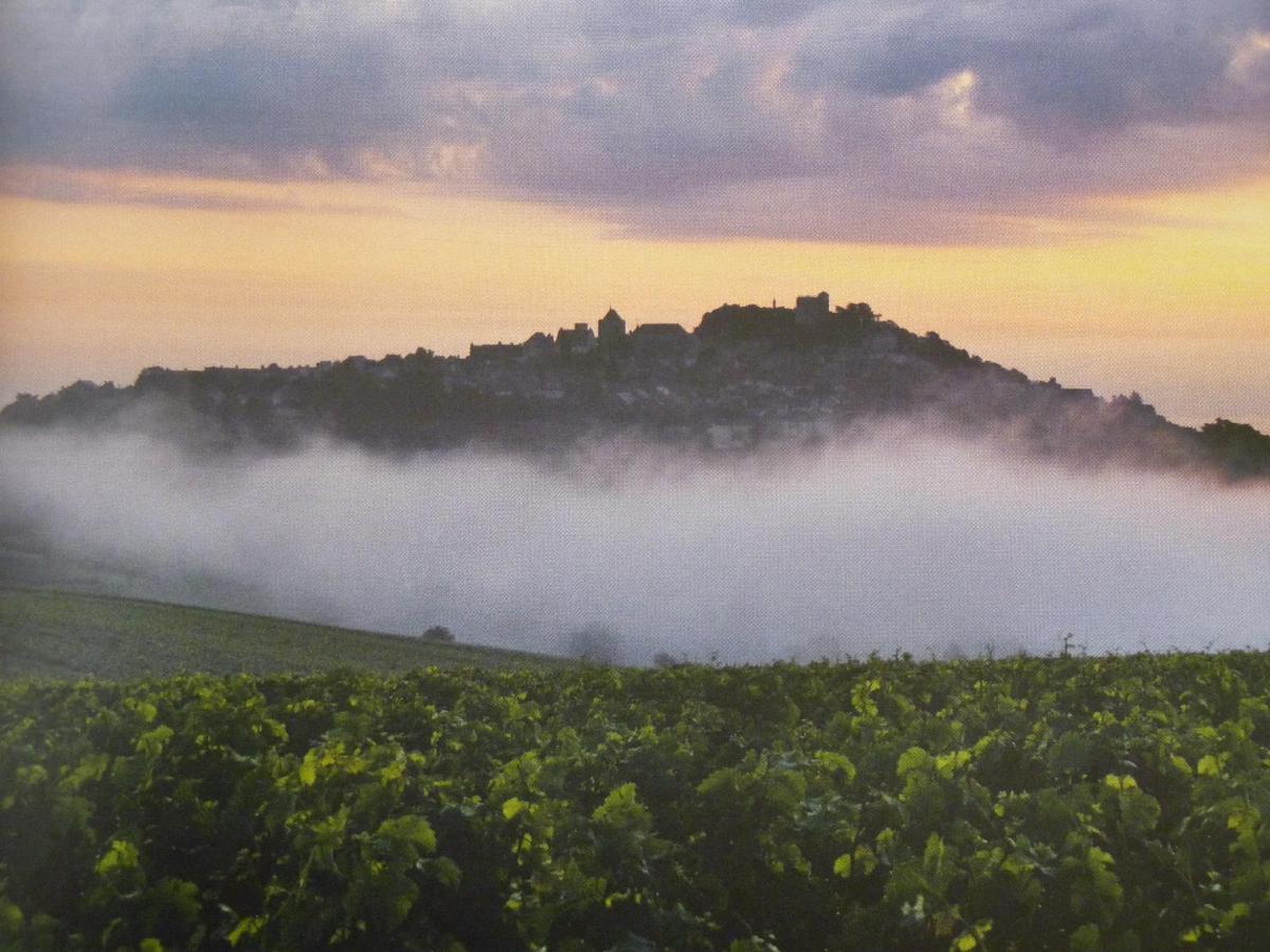 Maison Les Fossiles Sancerre Kültér fotó