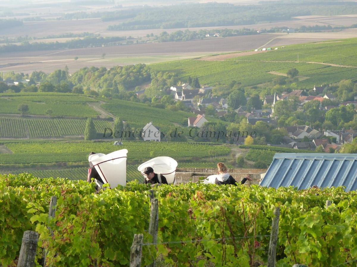 Maison Les Fossiles Sancerre Kültér fotó